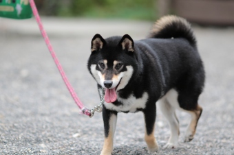 ささ、週末です♪ ささ、週末です♪