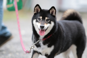 ささ、週末です♪ ささ、週末です♪