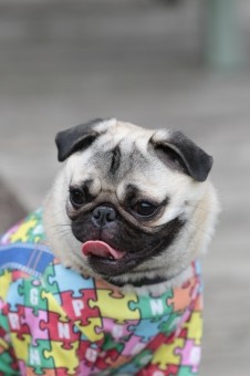 ささ、週末です♪ ささ、週末です♪