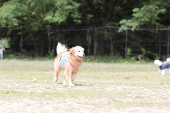 ささ、週末です♪ ささ、週末です♪