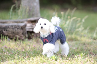 ささ、週末です♪ ささ、週末です♪