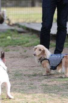 ささ、週末です♪ ささ、週末です♪