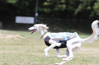 涼しいね~♪ 涼しいね~♪