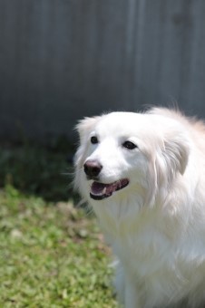 涼しいね~♪ 涼しいね~♪
