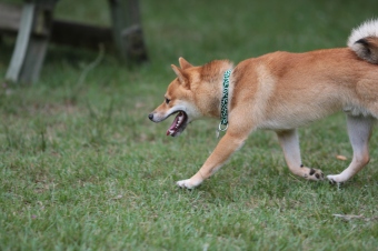 涼しいね~♪ 涼しいね~♪