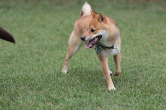 涼しいね~♪ 涼しいね~♪