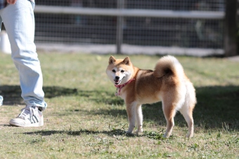 かいい~♪ かいい~♪