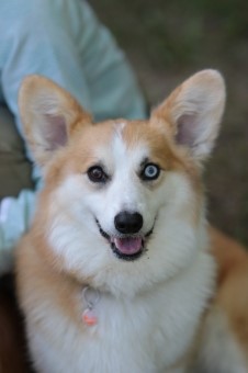 かいい~♪ かいい~♪