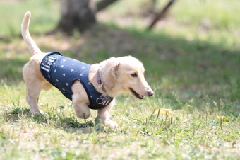 ニコニコ♪ ニコニコ♪