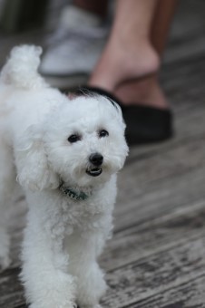 ニコニコ♪ ニコニコ♪