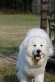 ニコニコ♪ ニコニコ♪