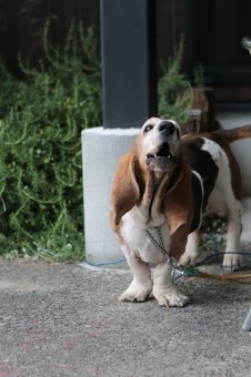 快晴の平日♪ 快晴の平日♪