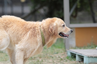 ぼーる大好き♪ ぼーる大好き♪