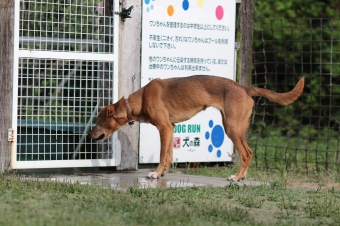 ぼーる大好き♪ ぼーる大好き♪