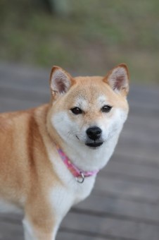 良い笑顔ですね~♪ 良い笑顔ですね~♪