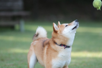 良い笑顔ですね~♪ 良い笑顔ですね~♪