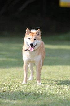 良い笑顔ですね~♪ 良い笑顔ですね~♪
