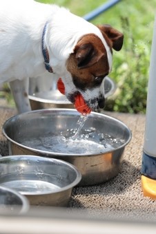 キラキラ水色♪ キラキラ水色♪