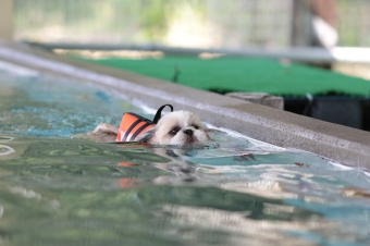 元気に! 元気に!