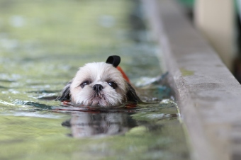 元気に! 元気に!