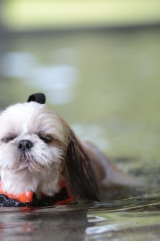 元気に! 元気に!