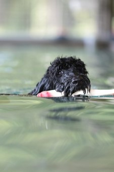 元気に! 元気に!