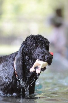 元気に! 元気に!