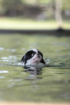 元気に! 元気に!