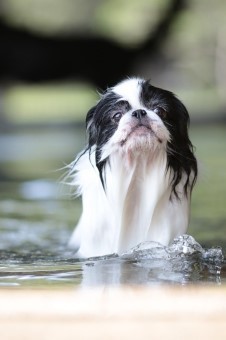 元気に! 元気に!