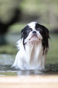 元気に! 元気に!