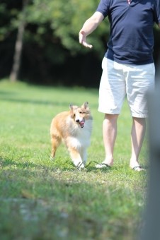 元気に! 元気に!