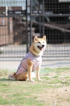元気に! 元気に!