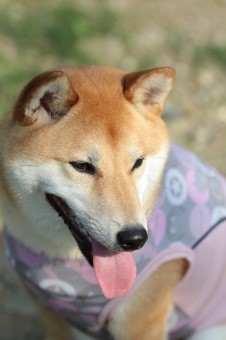 元気に! 元気に!
