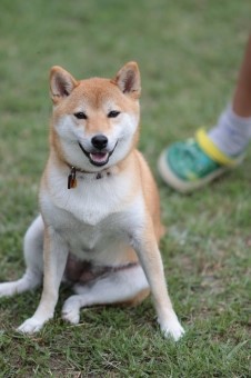 はな先黒っこ仲間♪ はな先黒っこ仲間♪