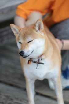 はな先黒っこ仲間♪ はな先黒っこ仲間♪