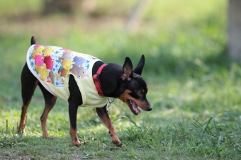 木陰で♪ 木陰で♪