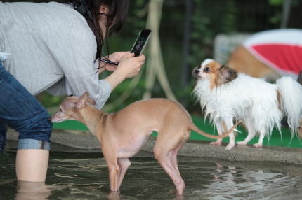鏡ですね♪ 鏡ですね♪