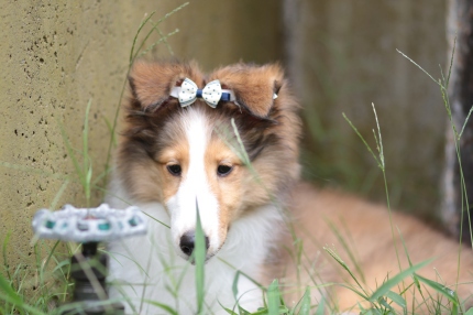 鏡ですね♪ 鏡ですね♪