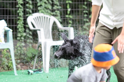 夏本番♪ 夏本番♪
