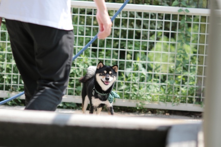 夏本番♪ 夏本番♪