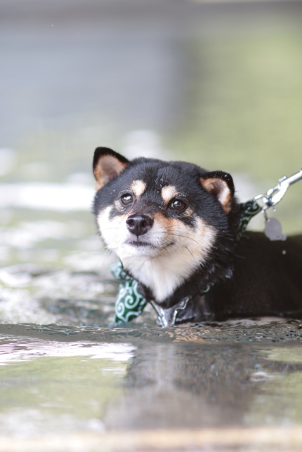 夏本番♪ 夏本番♪