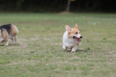 テンションアップ♪ テンションアップ♪