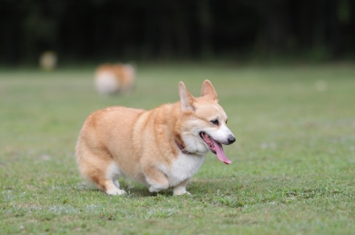 テンションアップ♪ テンションアップ♪