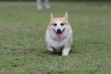 テンションアップ♪ テンションアップ♪