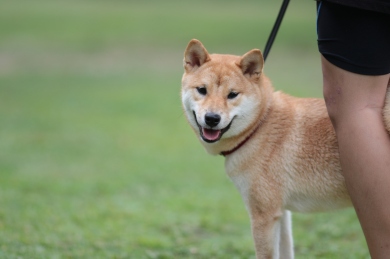 最近♪ 最近♪