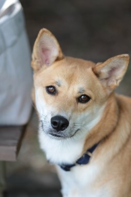 鼻黒水泳部♪ 鼻黒水泳部♪