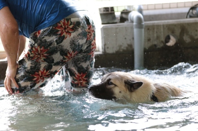 鼻黒水泳部♪ 鼻黒水泳部♪