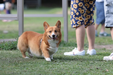 想像だと。 想像だと。