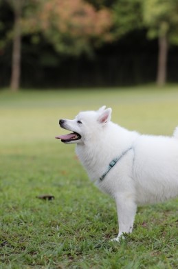 想像だと。 想像だと。
