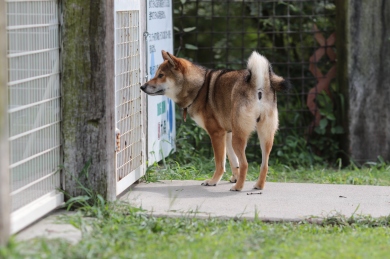 どうかな? どうかな?